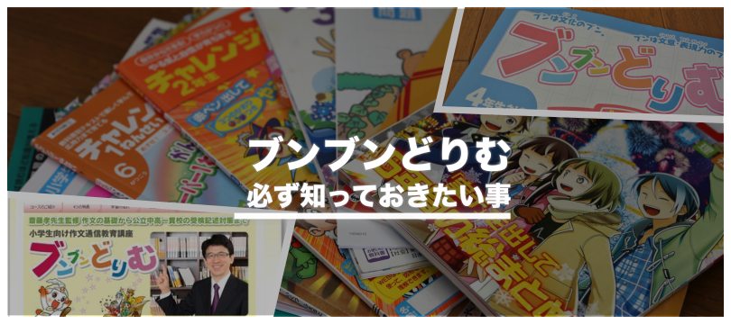 【評判悪い?】ブンブンどりむで必ず知っておきたい教材の魅力を徹底解説