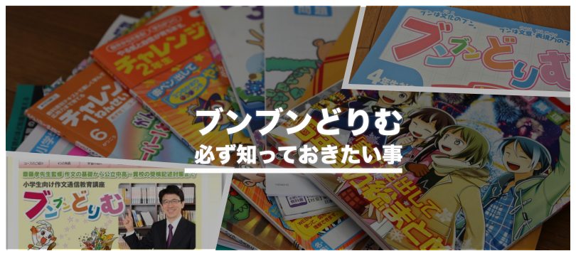 【評判悪い？】ブンブンどりむで必ず知っておきたい教材の魅力を徹底解説